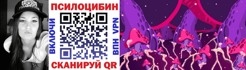 Псилоцибиновые грибы Psilocybe  Пересвет 