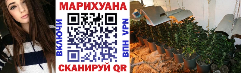 mega онион  Пересвет  Каннабис конопля  наркота 